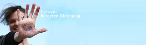 Vergeten Dierendag